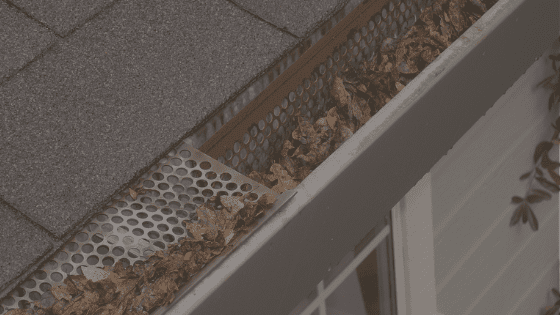 , The Best and Worst Types of Gutter Guards, Outback GutterVac